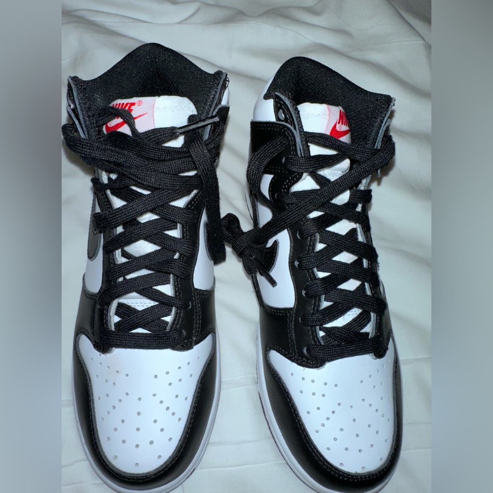 PANDA DUNKS HIGH *BRAND NEW*